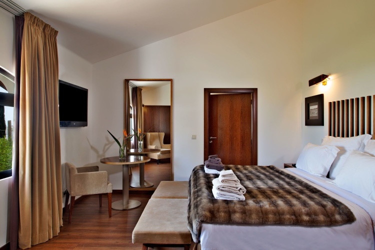 Standard Double room with partial sea view