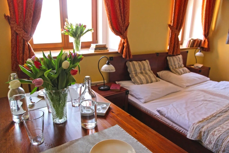 1 Bedroom Comfort Single room with garden view