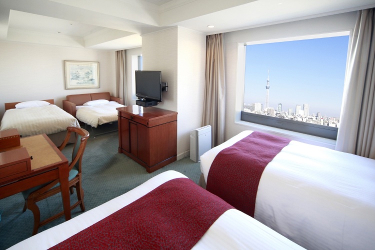 Deluxe Twin Family room