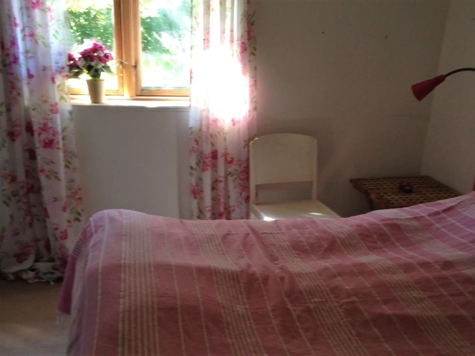 1 Bedroom Standard Double room