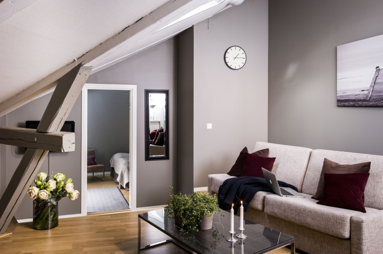 1 Bedroom Standard Apartment