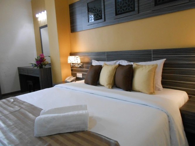 Deluxe Suite with land view