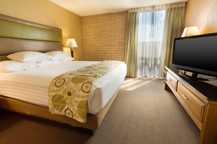 2 Bedrooms Double Suite
