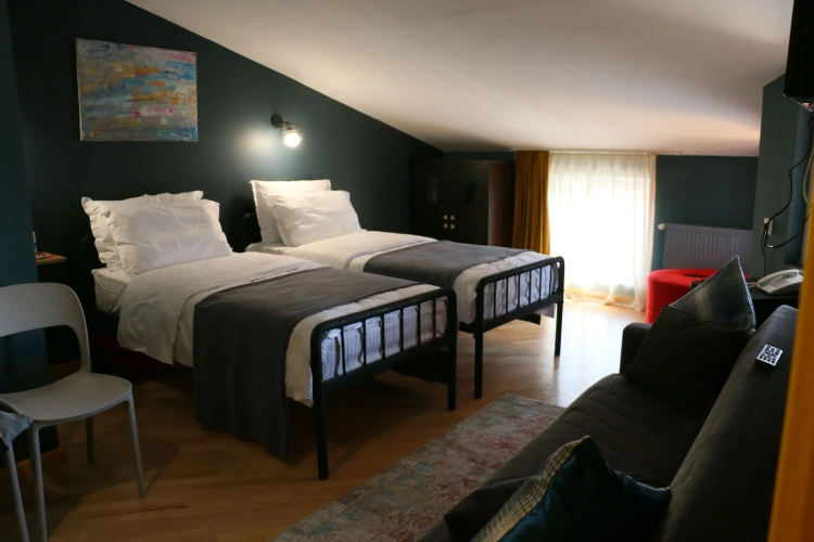Superior Twin room with garden view
