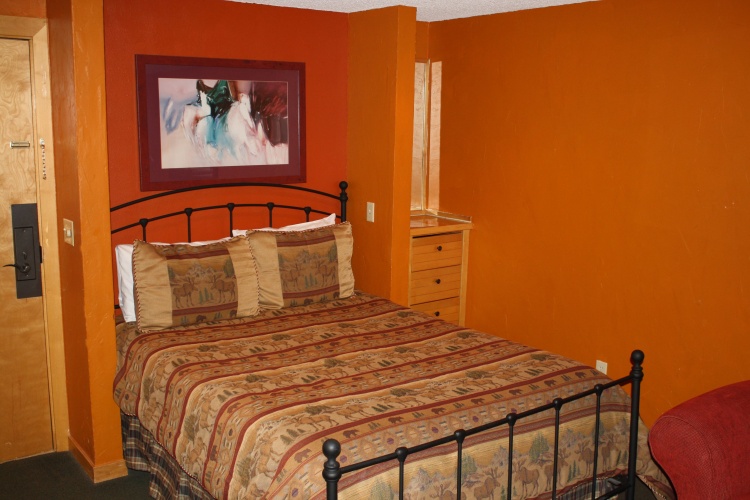 1 Bedroom Studio
