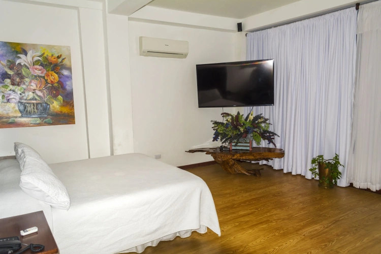 Deluxe Double Suite