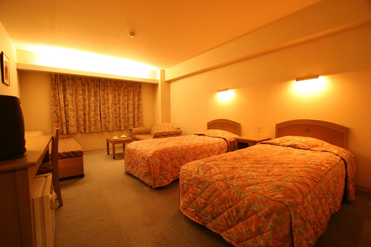Standard Triple room