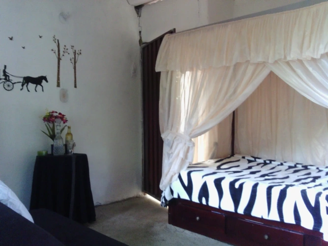 Standard Double room with garden view