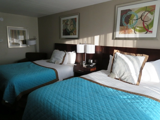 Executive Quadruple room