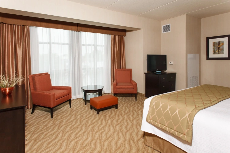 Double Suite with park view