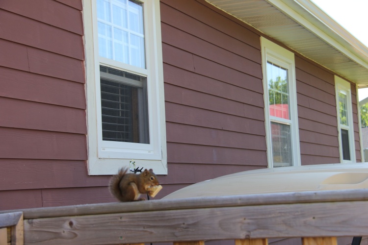 1 Bedroom Deluxe Cottage