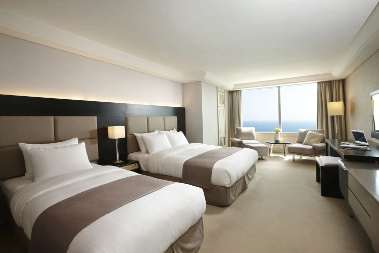 Deluxe Double room with city view