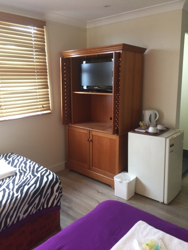 Standard Twin room with city view