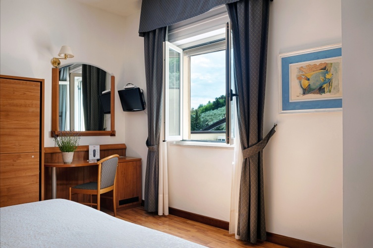 Standard Double room with balcony and with view