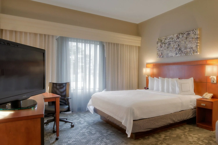 1 Bedroom Suite