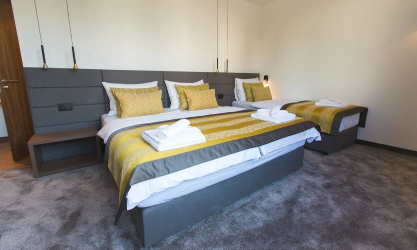 Deluxe Triple room