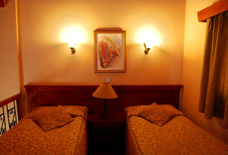 Economy Twin room
