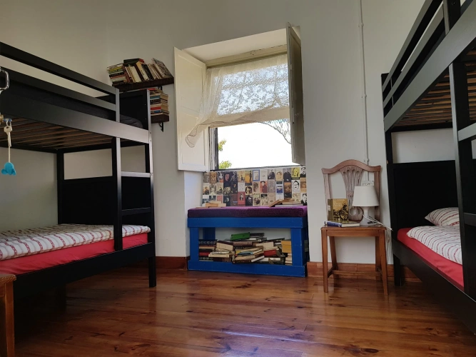 Standard Family room
