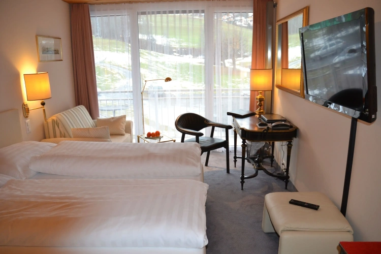 Standard Double room with mountain view