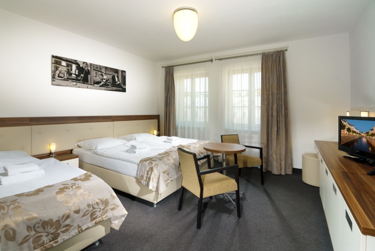 Standard Triple room
