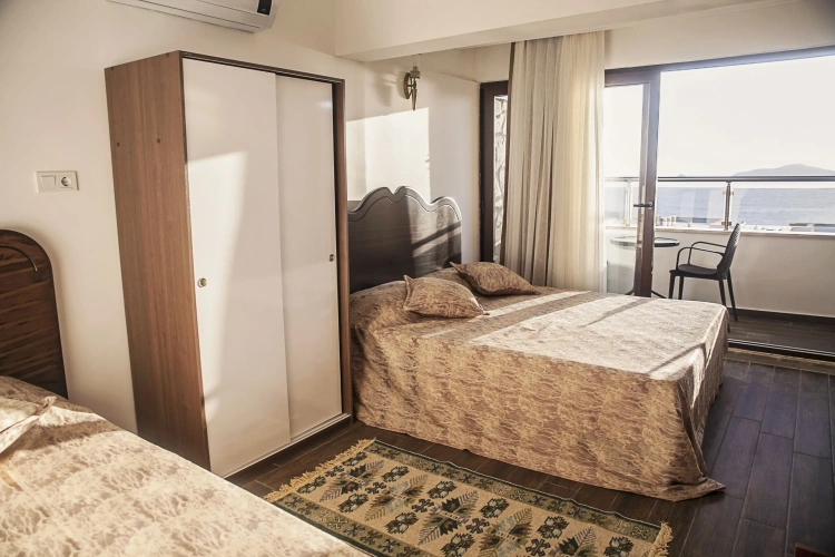 Deluxe Double room with balcony and with view