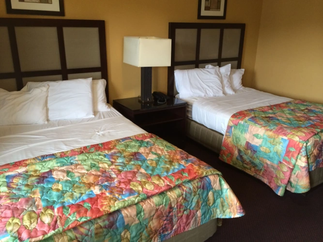 Standard room
