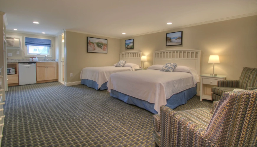 Standard Double room with balcony and with ocean view