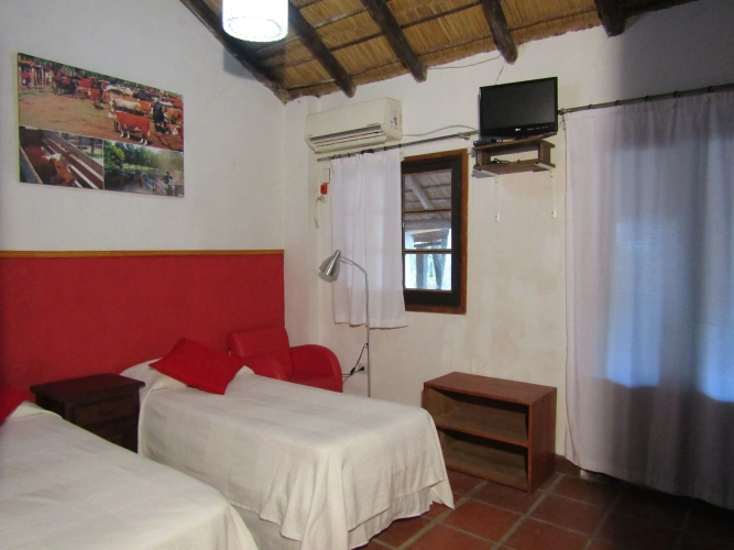 Standard Double room with garden view