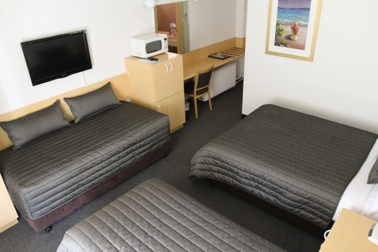 Standard Double room with balcony and with view