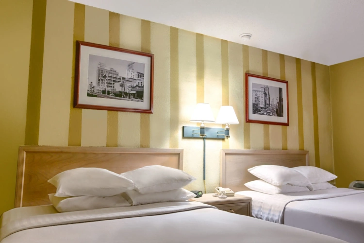 Standard Double room