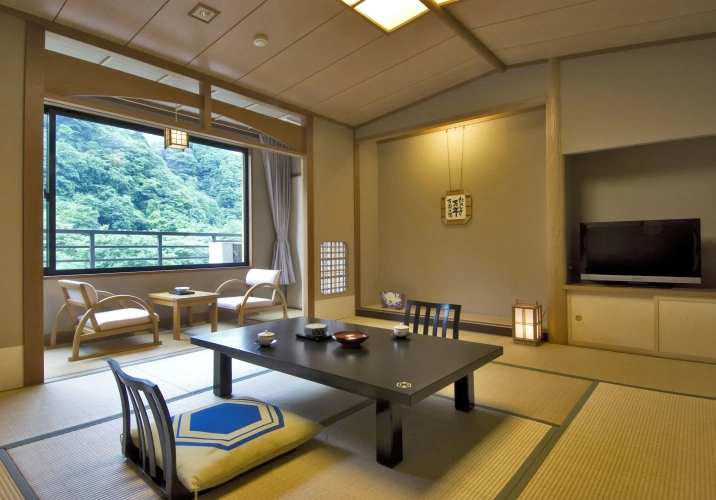 Standard Japanese room with mountain view
