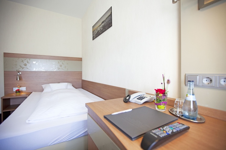 Standard Double room with balcony and with view