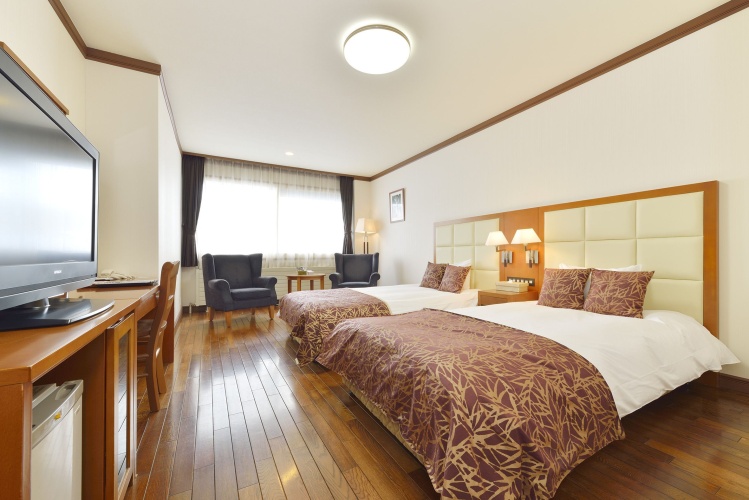 Deluxe Twin room