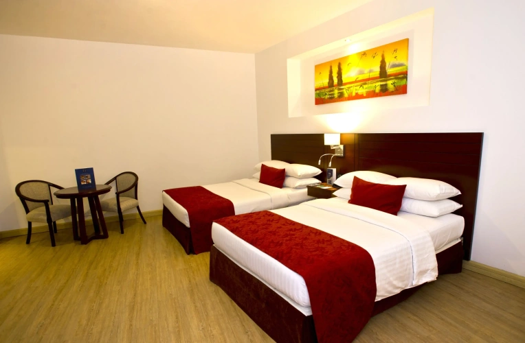 Deluxe Twin room