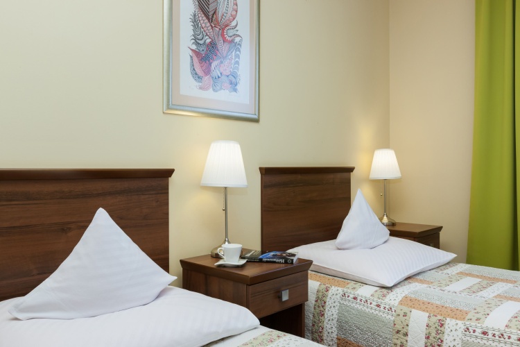 Deluxe Single room