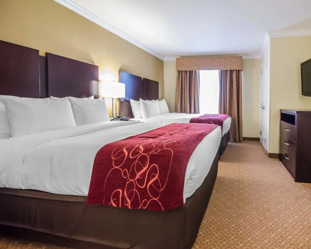 Quadruple Suite