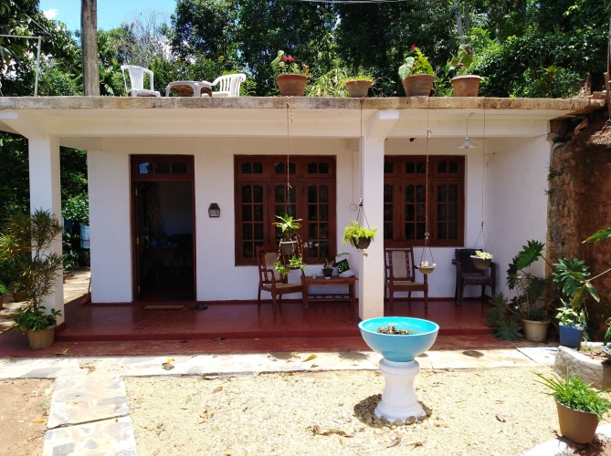 Premium Twin Cottage