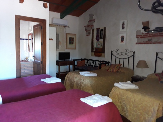 Standard room