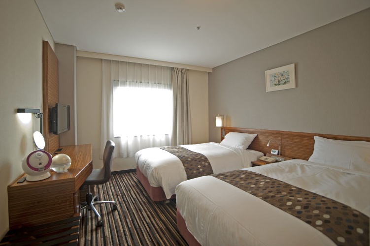 Standard Twin room with river view