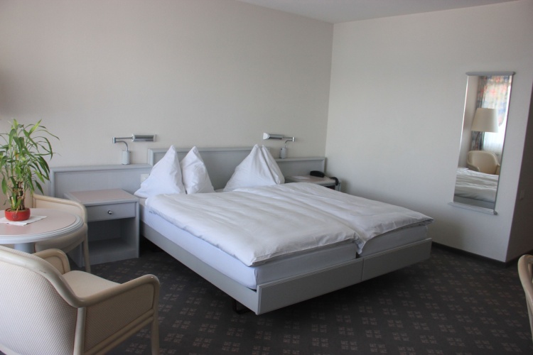 Standard Twin room with lake view