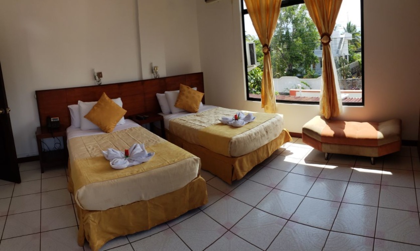 Economy Double room with pool view