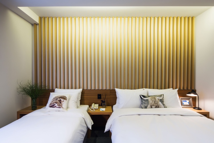 Deluxe Twin room