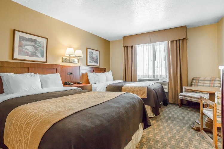 Quadruple Suite
