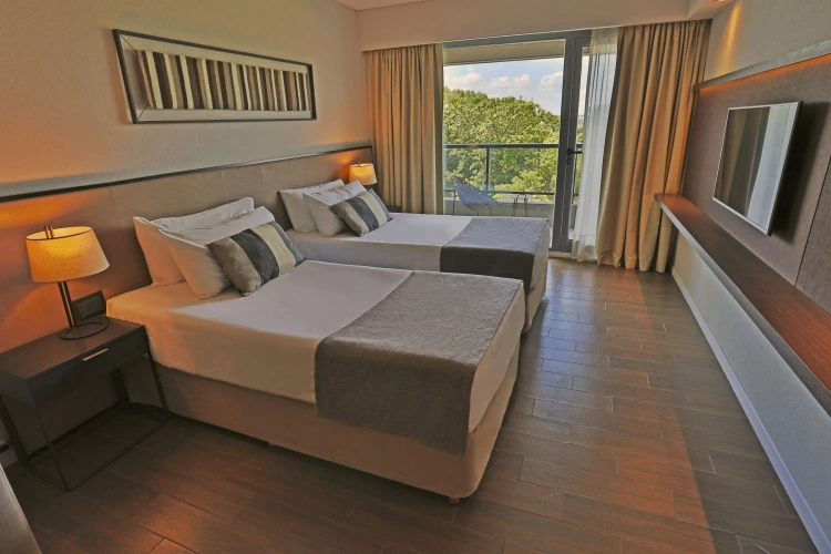 Standard Studio with balcony and with view