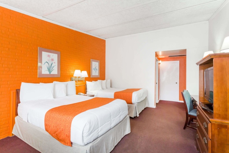Standard Quadruple room