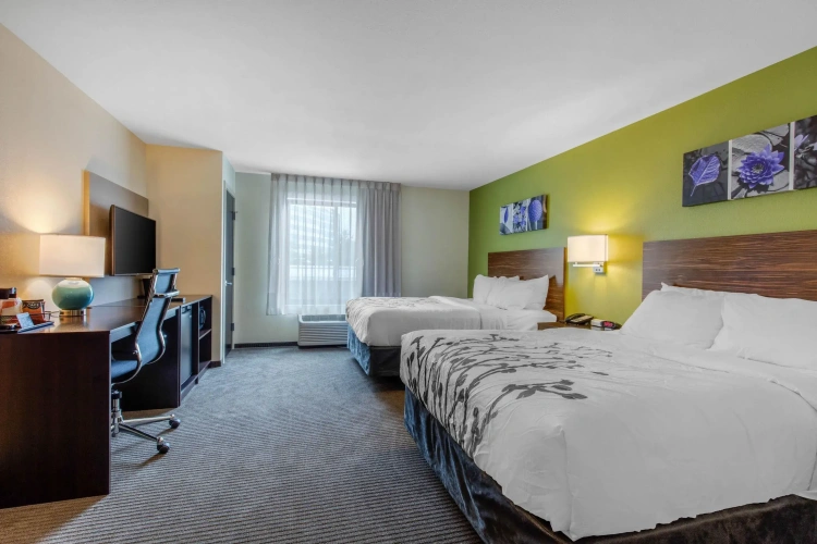 Standard Double room