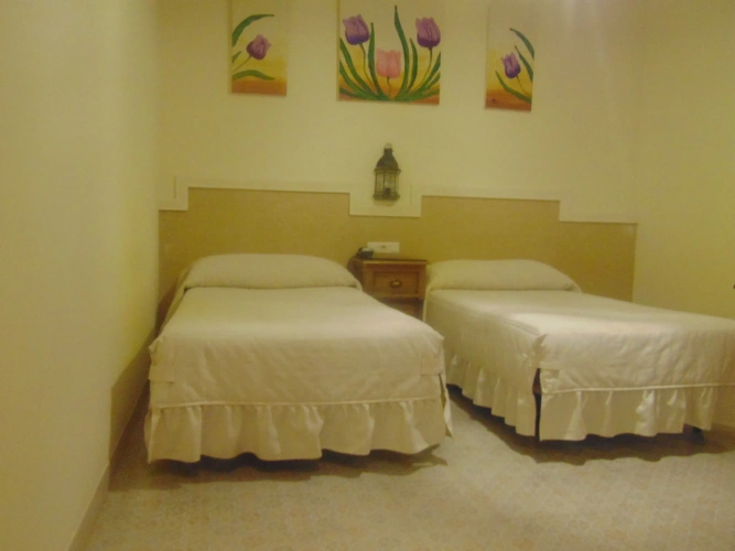 Standard Double room with balcony and with mountain view