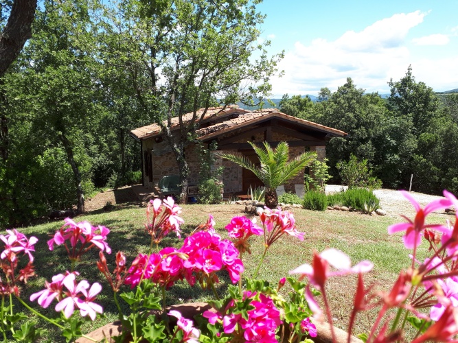 1 Bedroom Chalet