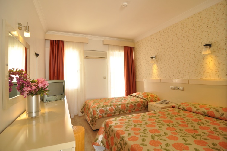 Standard Double room with balcony and with view