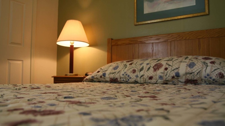 1 Bedroom Suite